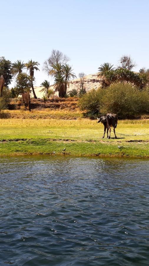 Habibi Nubian Guest House-Nubian Hospitality Aswan Zewnętrze zdjęcie